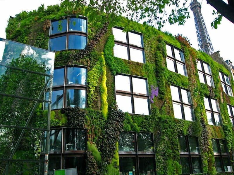 Фасадный сад: использование фасада здания для создания зеленого уголка в городской среде 1